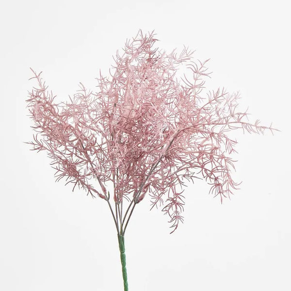 Coral Bush Pink