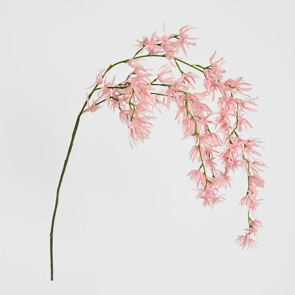 Orchid Spider Hanging 1.1m Pink
